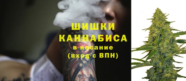 не бодяженный Няндома