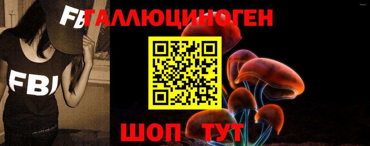 Псилоцибиновые грибы MAGIC MUSHROOMS  Вход с VPN  Сафоново 